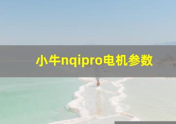 小牛nqipro电机参数