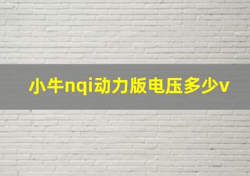 小牛nqi动力版电压多少v