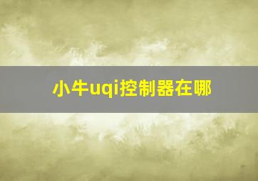 小牛uqi控制器在哪