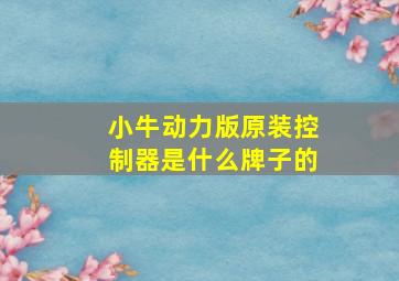 小牛动力版原装控制器是什么牌子的