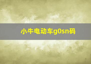 小牛电动车g0sn码