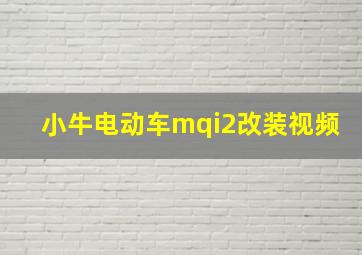 小牛电动车mqi2改装视频