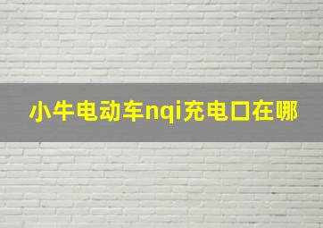 小牛电动车nqi充电口在哪