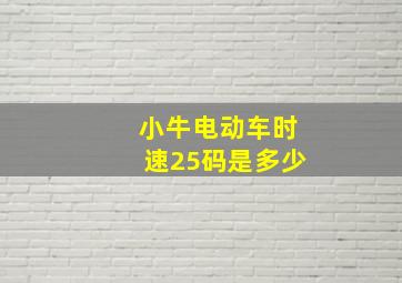 小牛电动车时速25码是多少