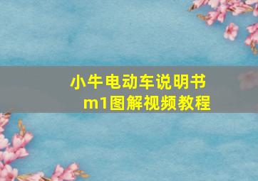 小牛电动车说明书m1图解视频教程