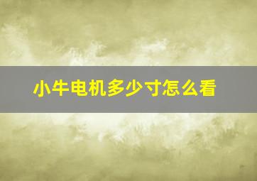 小牛电机多少寸怎么看