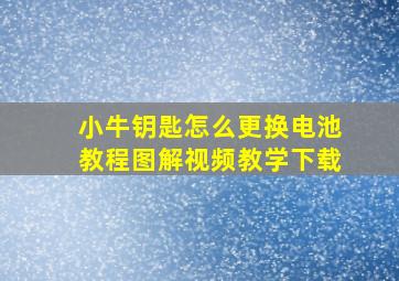 小牛钥匙怎么更换电池教程图解视频教学下载