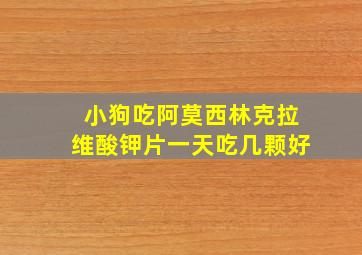 小狗吃阿莫西林克拉维酸钾片一天吃几颗好