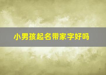 小男孩起名带家字好吗