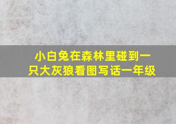 小白兔在森林里碰到一只大灰狼看图写话一年级