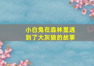 小白兔在森林里遇到了大灰狼的故事