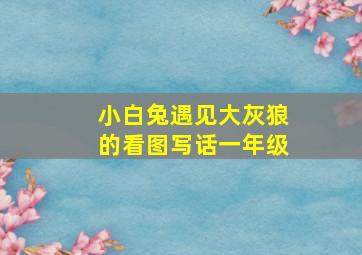 小白兔遇见大灰狼的看图写话一年级