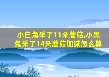 小白兔采了11朵蘑菇,小黑兔采了14朵蘑菇加减怎么算