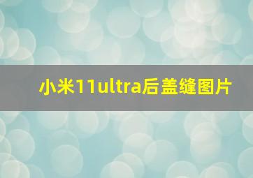 小米11ultra后盖缝图片