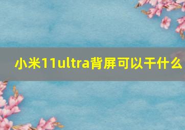 小米11ultra背屏可以干什么