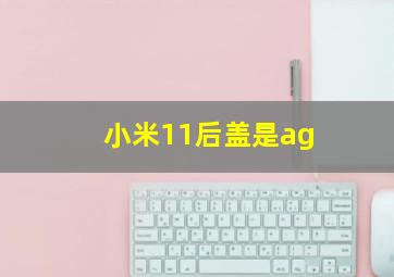 小米11后盖是ag