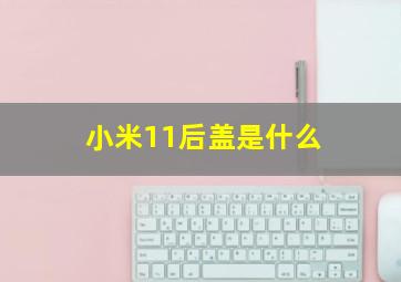 小米11后盖是什么