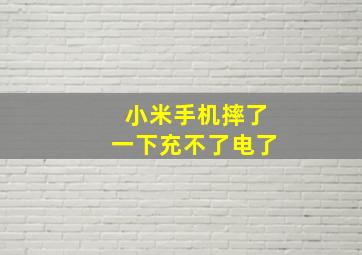 小米手机摔了一下充不了电了