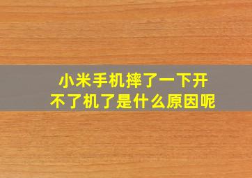 小米手机摔了一下开不了机了是什么原因呢