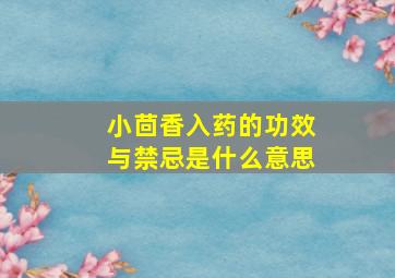 小茴香入药的功效与禁忌是什么意思