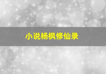 小说杨枫修仙录