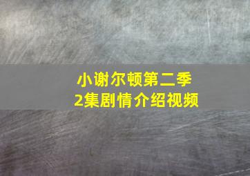 小谢尔顿第二季2集剧情介绍视频