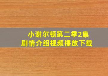 小谢尔顿第二季2集剧情介绍视频播放下载