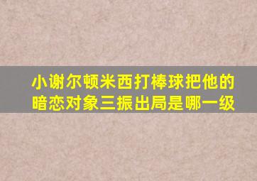 小谢尔顿米西打棒球把他的暗恋对象三振出局是哪一级