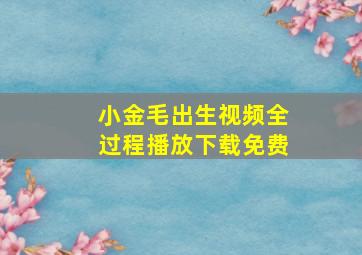 小金毛出生视频全过程播放下载免费