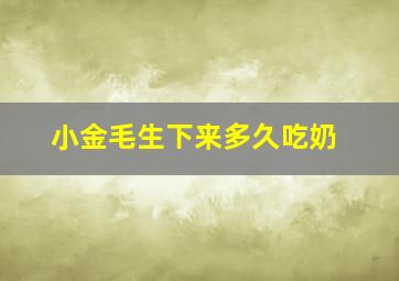 小金毛生下来多久吃奶