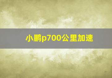 小鹏p700公里加速