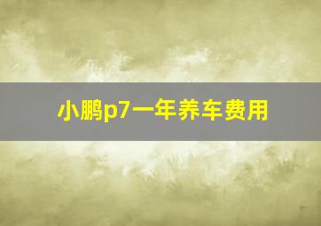 小鹏p7一年养车费用