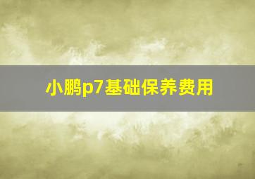 小鹏p7基础保养费用