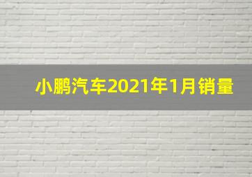 小鹏汽车2021年1月销量