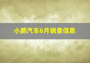 小鹏汽车6月销量信息