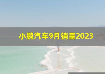 小鹏汽车9月销量2023