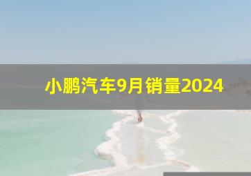 小鹏汽车9月销量2024