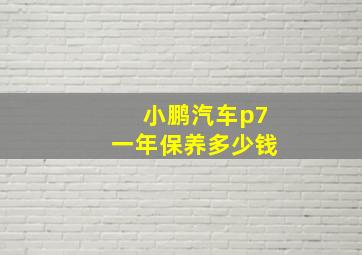 小鹏汽车p7一年保养多少钱