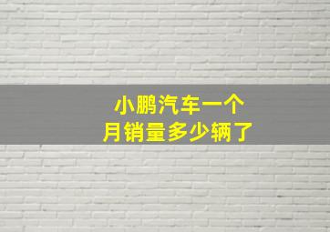 小鹏汽车一个月销量多少辆了