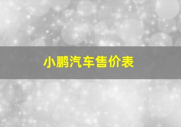 小鹏汽车售价表