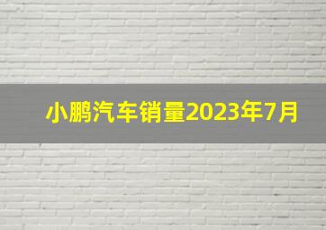 小鹏汽车销量2023年7月