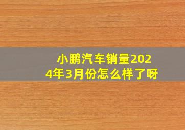 小鹏汽车销量2024年3月份怎么样了呀