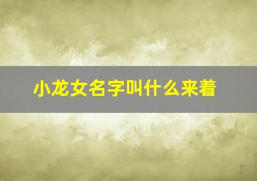 小龙女名字叫什么来着