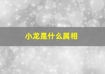 小龙是什么属相