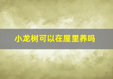 小龙树可以在屋里养吗