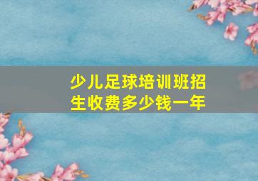 少儿足球培训班招生收费多少钱一年