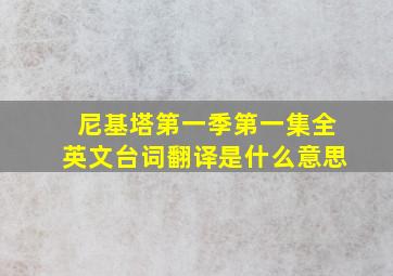 尼基塔第一季第一集全英文台词翻译是什么意思