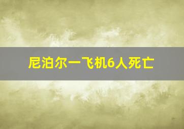 尼泊尔一飞机6人死亡