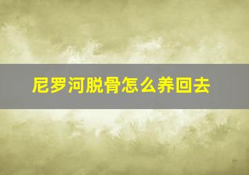 尼罗河脱骨怎么养回去