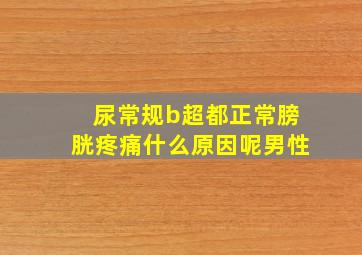 尿常规b超都正常膀胱疼痛什么原因呢男性